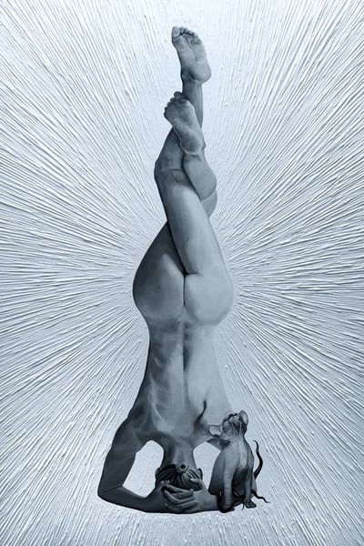Image of Yoga (poster size)