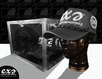 Image 1 of EXPRESSION 06 EVOLUTION ® - DIAMOND  AWARD COLLECTION - MOON ROCK