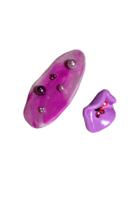 Image 1 of Fuchsia Lilac Mix 💗💜