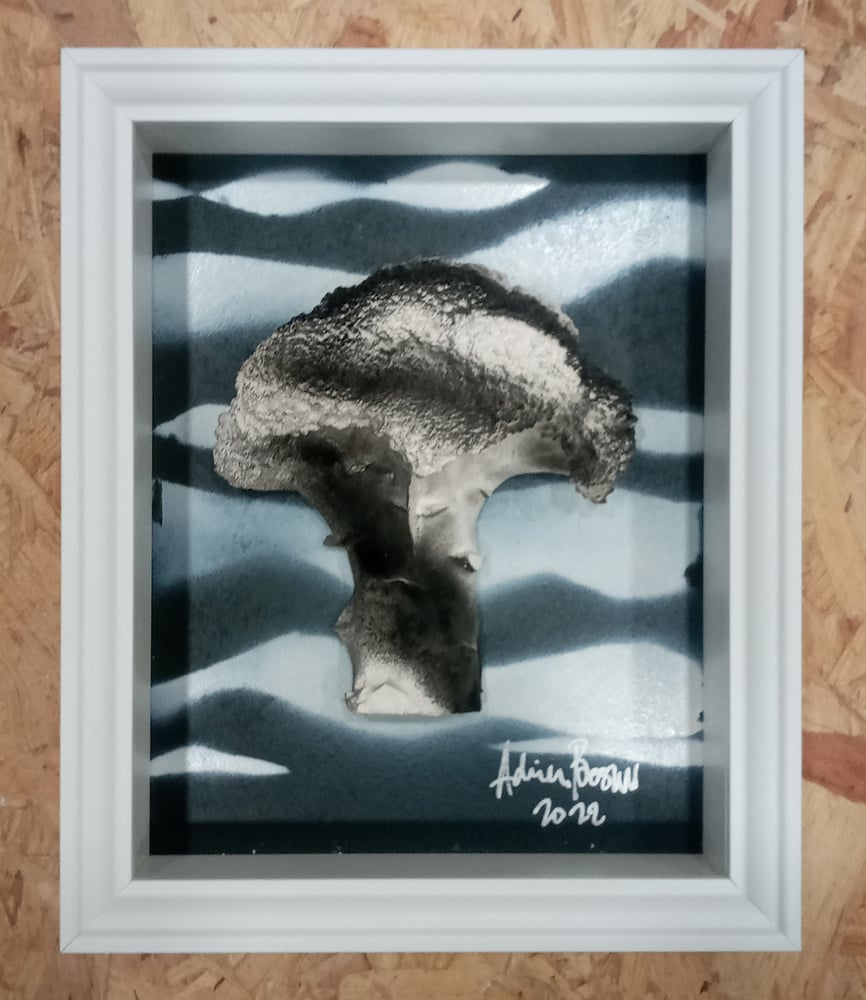 Image of SAFARI II (Deluxe)