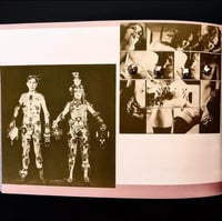 Image 3 of Toshiharu Ito 'Theory of Biological Ruins'