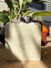 Oatmeal soap