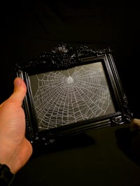 Image 2 of Gothic sideway black ornate framed preserved web -large