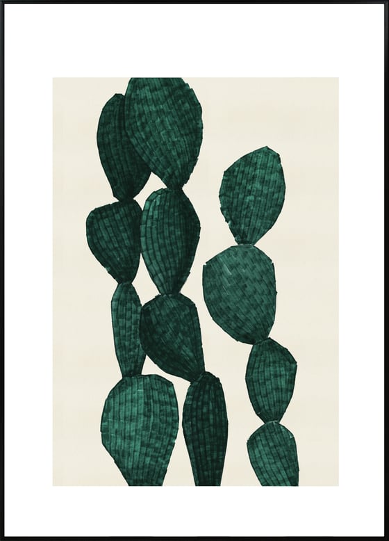 Image of Opuntia Green 3 A3