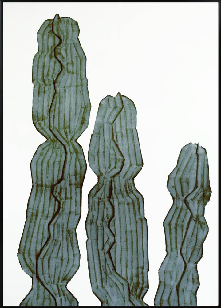 Image of Cactus Euphorbia A3