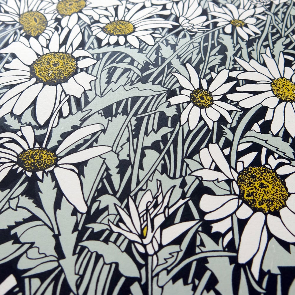 Dog Daisies screen print / Susie Wright Dog Daisies screen print / Susie Wright