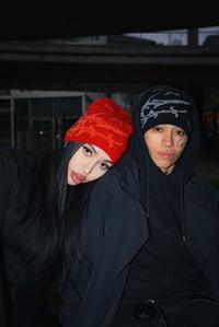 Image 3 of Beanies 6.0