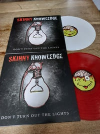 Image 1 of Skinny Knowledge Vinyl