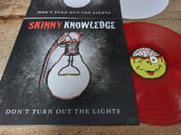 Image 2 of Skinny Knowledge Vinyl