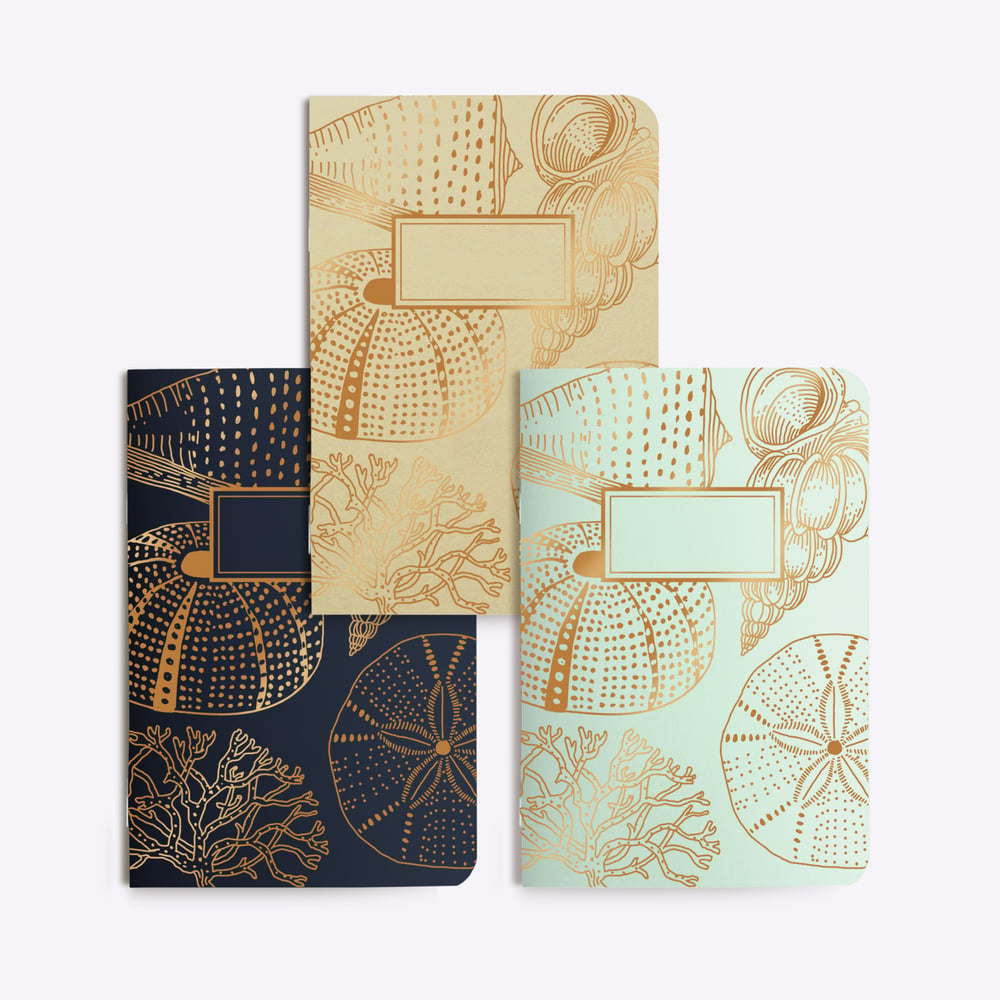 Image of TRIO PETITS CARNETS COQUILLAGES