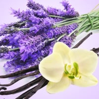 Image 1 of Lavender Vanilla (15ML)