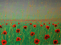 Image 4 of 'POPPY HAZE’