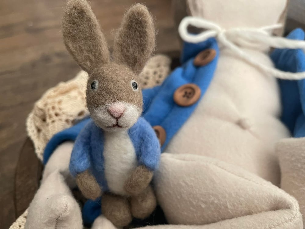 Image of Little Bunny Blue