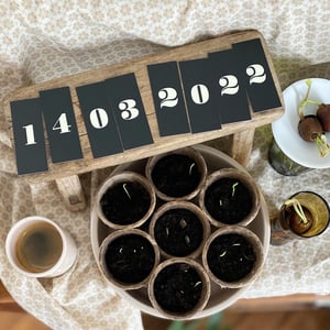 Image of ÉPHÉMÉRIDE 2024