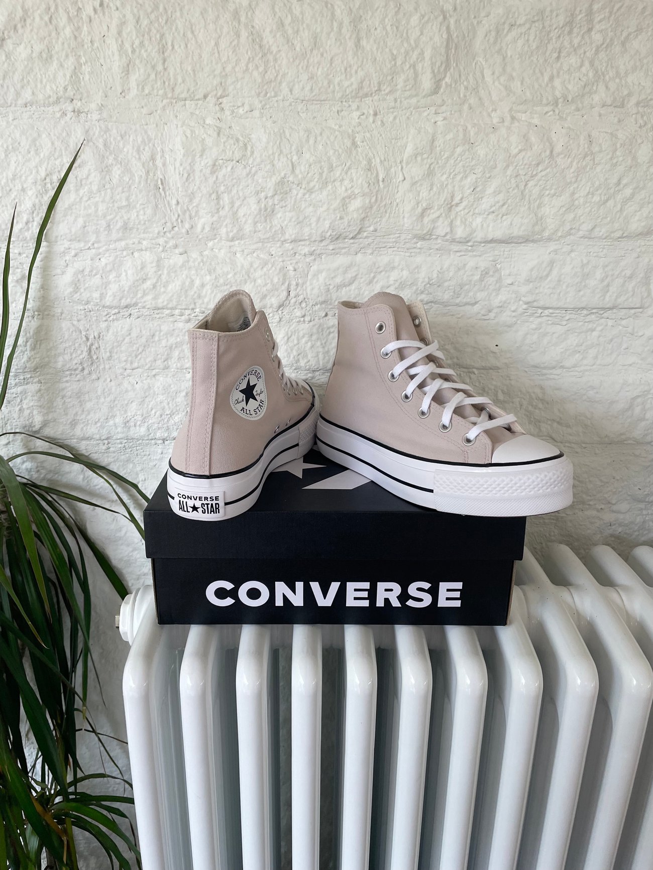 Platform Converse Neutral DeacsDesigns