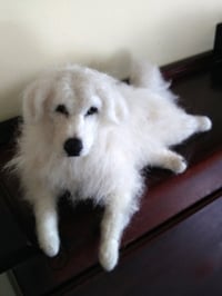 Image 1 of 11" Great Pyrenees dog