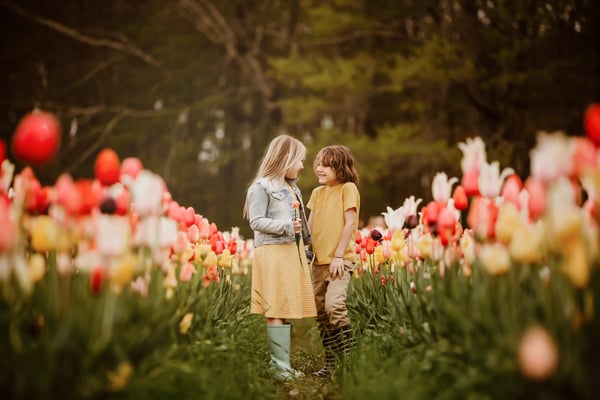 Image of Wicked Tulips Limited Edition Sessions May 7th