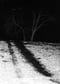 Image of Prutkin #4