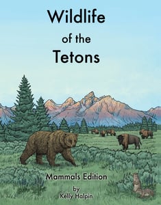 Image of Wildlife of the Tetons Mammals Edition