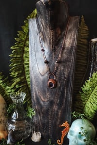 Image 2 of Ametrine Barnacle