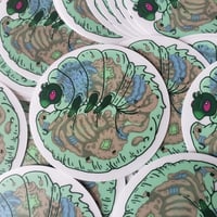 Jelly Bug Transparent Sticker 3x3