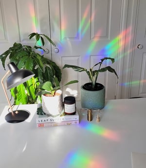 Image of Today Will Be A-Okay Suncatcher Window Decal