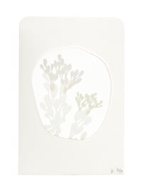 Image 1 of Sophie Bøhrt N°24