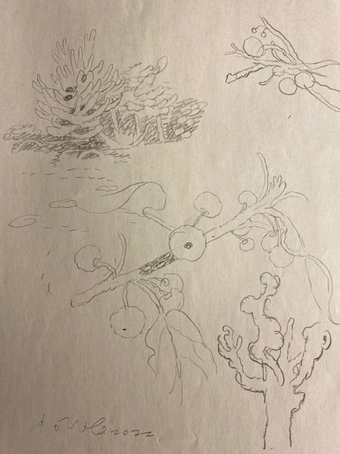 Assorted Doodles, Batch 018 Image 5