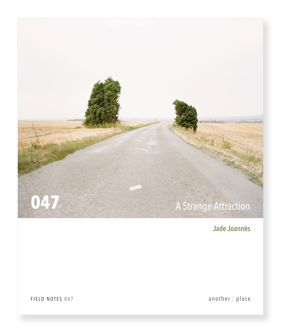 A Strange Attraction - Jade Joannès