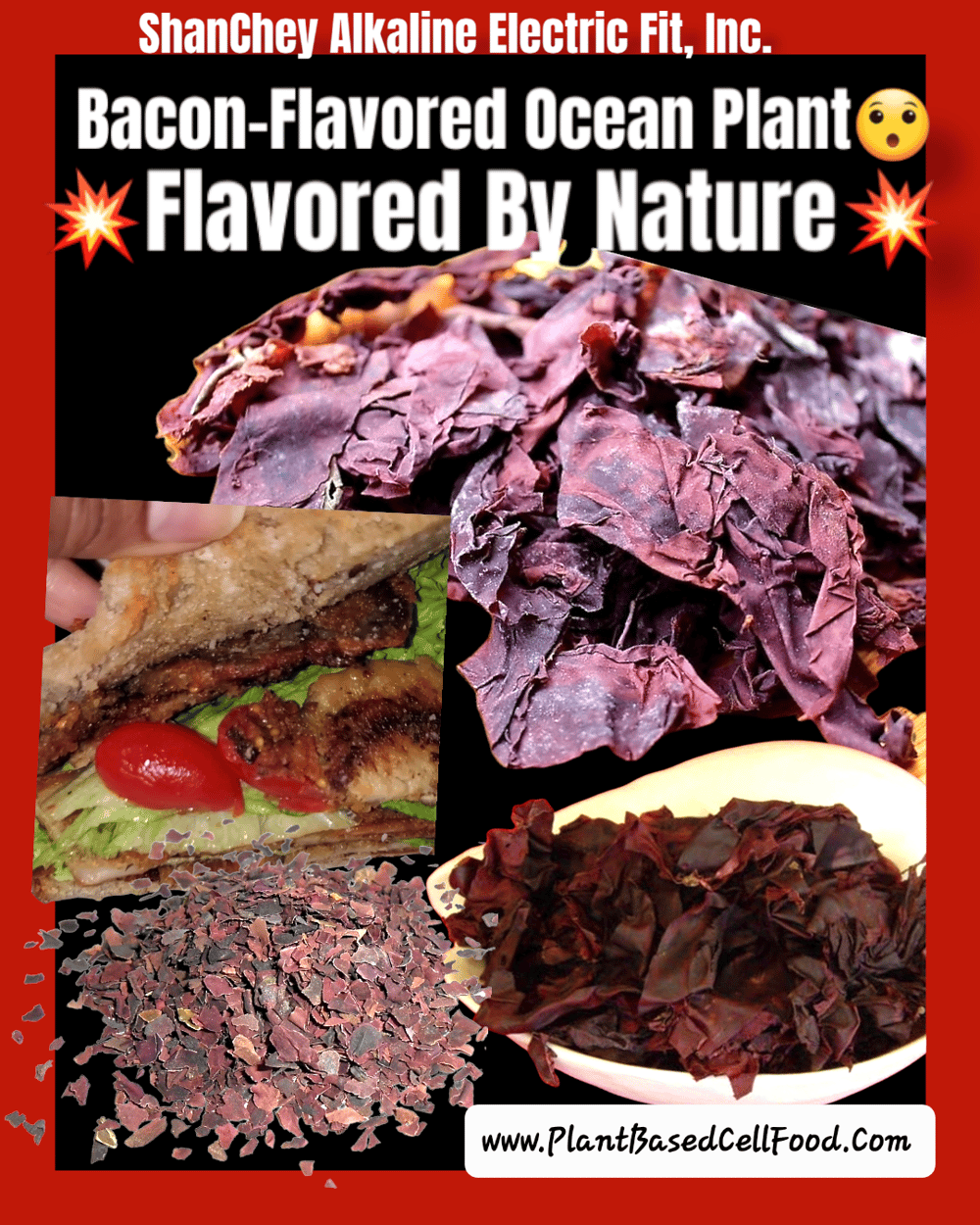 UNDER THE SEA! Wild Ocean Plant Leaves/Flakes/Red Seaweed- Brain Food-Toxins-Alzheimer-Bones-B12