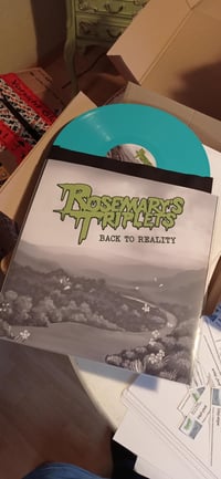 Image 2 of Rosemary's Triplets "Back To Reality" LP