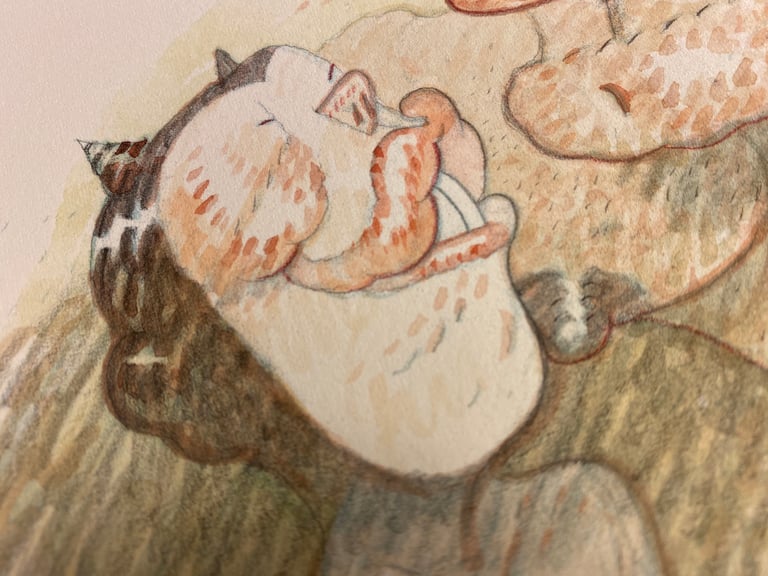 Chesty Times Two Image 2