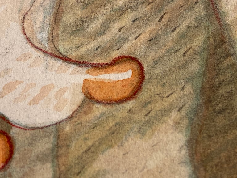 Chesty Times Two Image 4