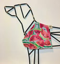 Watermelon Dog Bandana