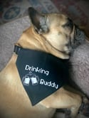 Drinking Buddy Dog Bandana