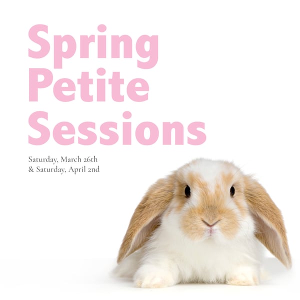 Image of Spring Bunny Session