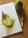 Williams Pear with leaf