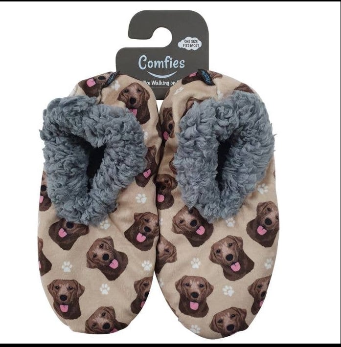 Image of Labrador - Chocolate