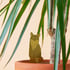 DÉCO ANIMAL POUR PLANTE - RENARD, ANOTHER STUDIO Image 2