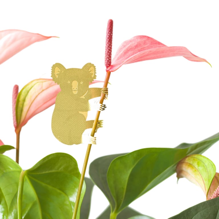 DÉCO ANIMAL POUR PLANTE - KOALA Image 4
