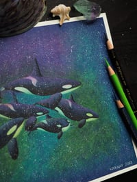 Image 2 of Exhibition Special Orca Family Swimming Through the Northern Lights Fine Art Print 