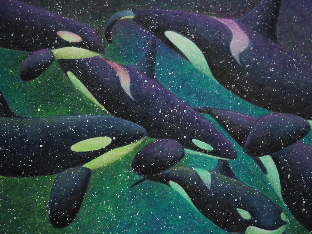 Exhibition Special Orca Family Swimming Through the Northern Lights Fine Art Print 