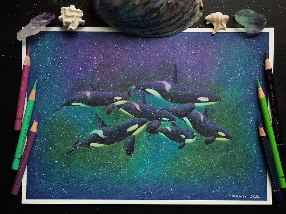 Image of Exhibition Special Orca Family Swimming Through the Northern Lights Fine Art Print 