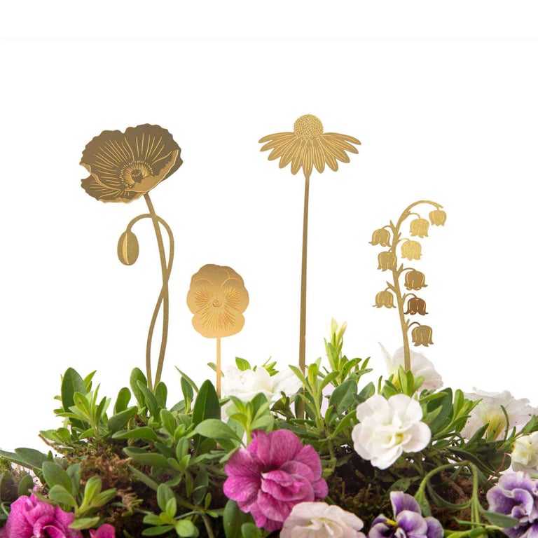 DÉCO BLOOM GARDEN POUR PLANTE, ANOTHER STUDIO Image 4