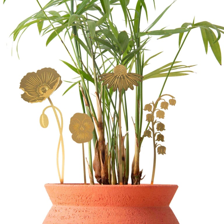 DÉCO BLOOM GARDEN POUR PLANTE, ANOTHER STUDIO Image 3
