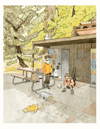 Cat Camp