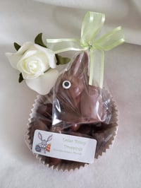 Image 2 of Easter Bunny droppings (chocolate covered almonds!)