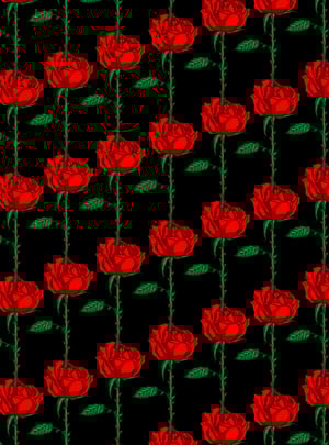 Image of Roses Woven 