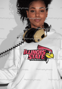 Image 5 of HBCU - Tshirts/Hoodies 