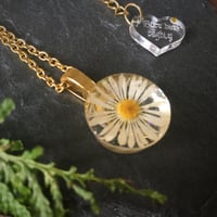 Image 2 of Real Daisy Mini Resin Pendant